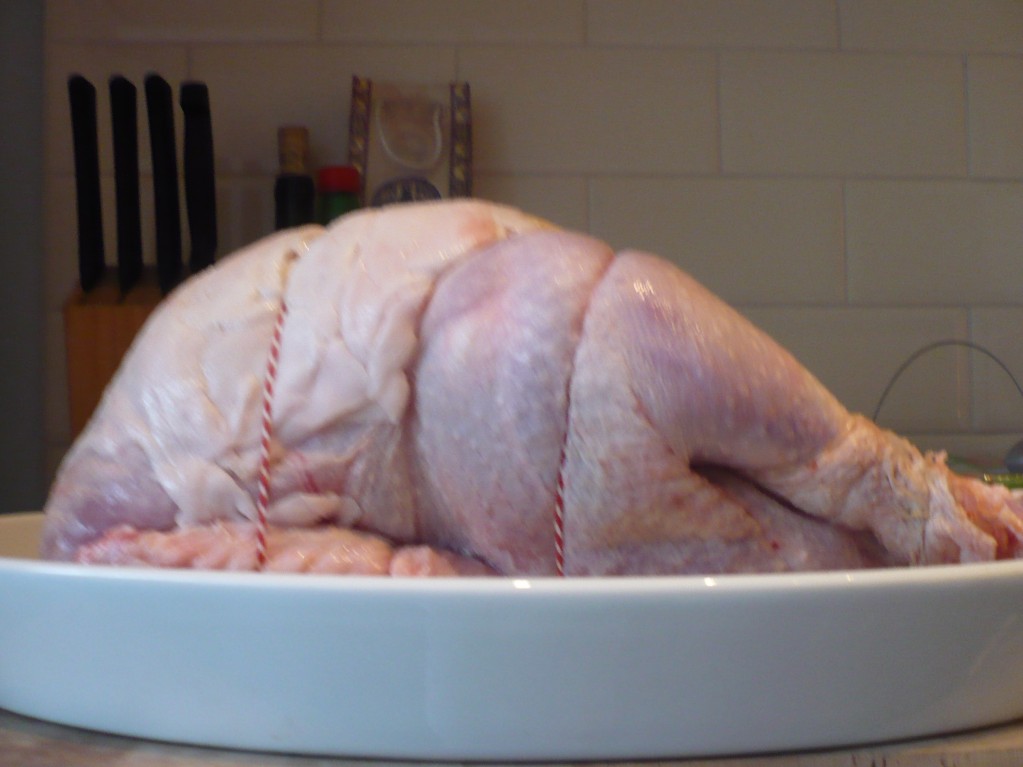christmas turkey christmas turkey