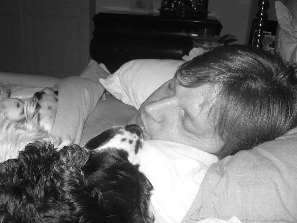 reinout and buddy