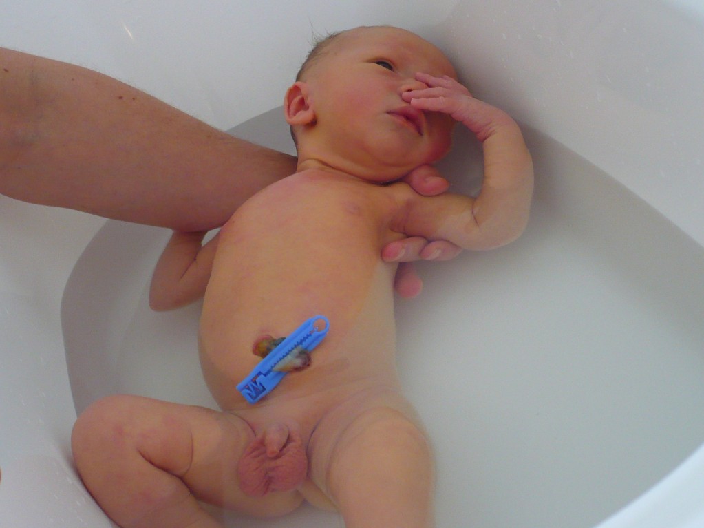 Sebastian having a bath Sebastian having a bath