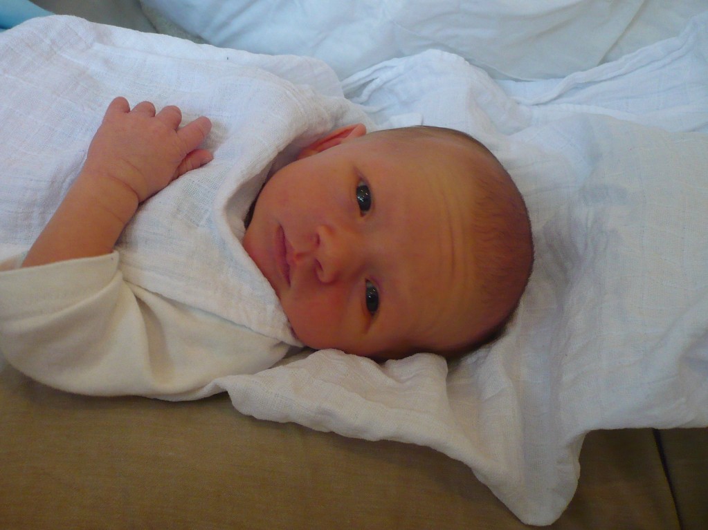 sebastian sebastian