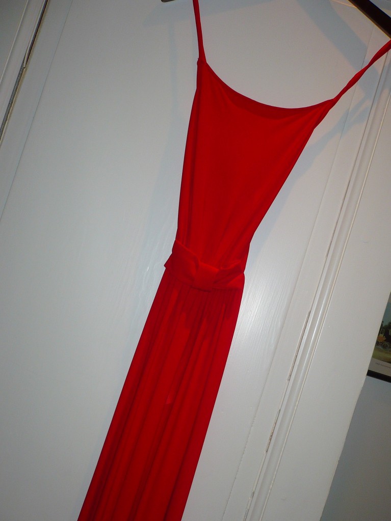 Pierre Cardin dress