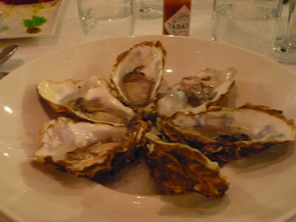 oysters oysters