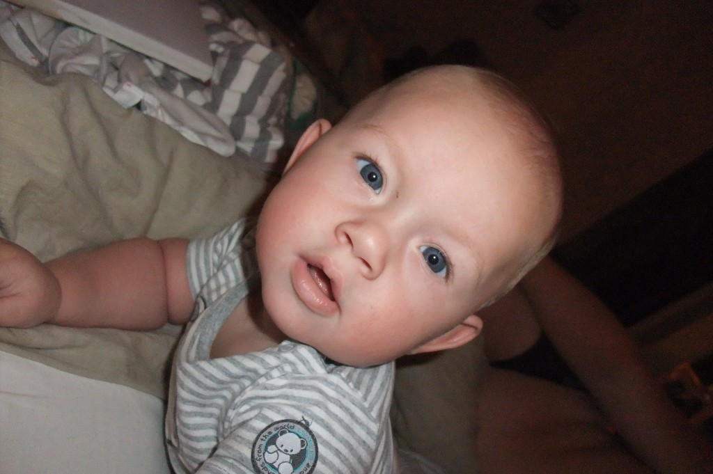 dscf0509 dscf0509