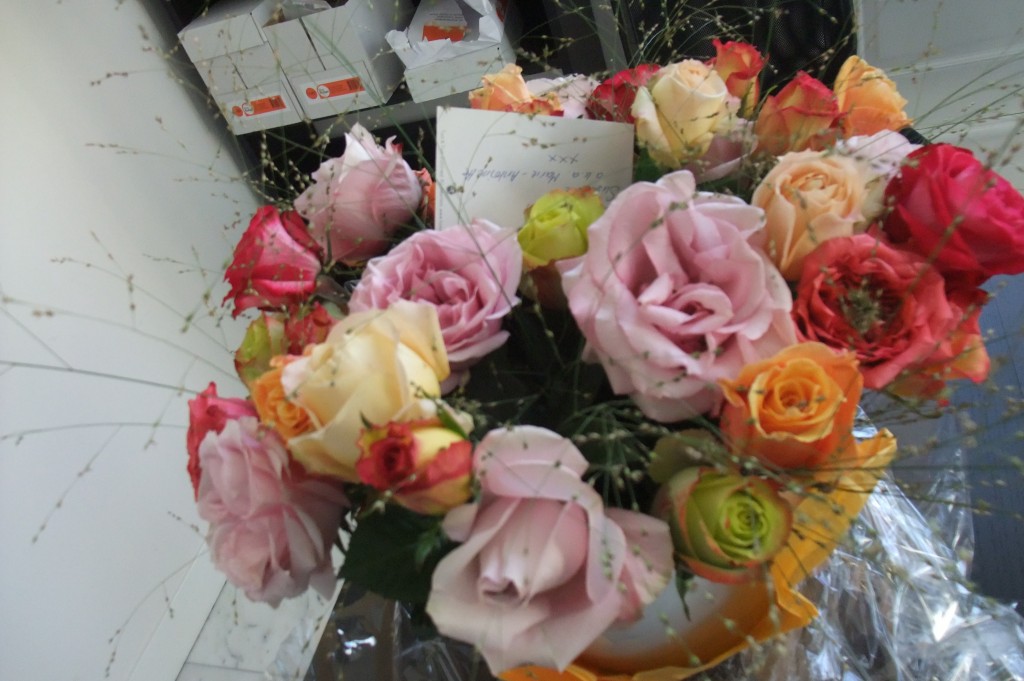 dscf0682 dscf0682