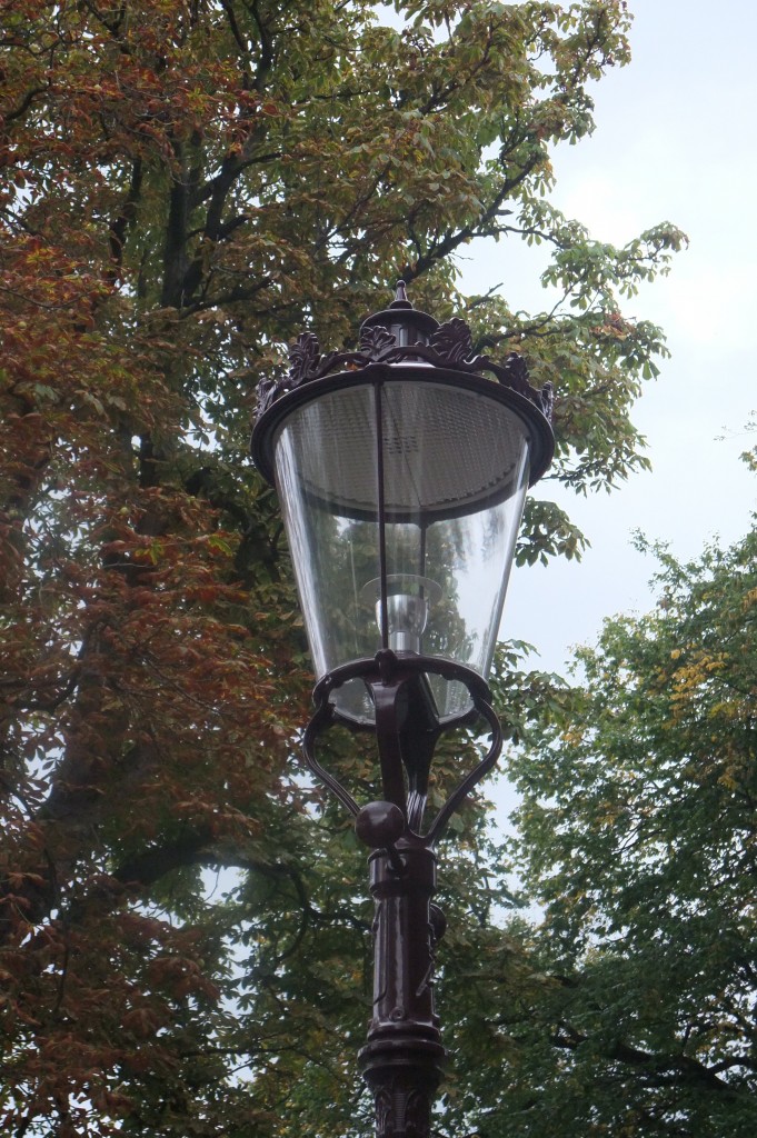 dscf1017 dscf1017