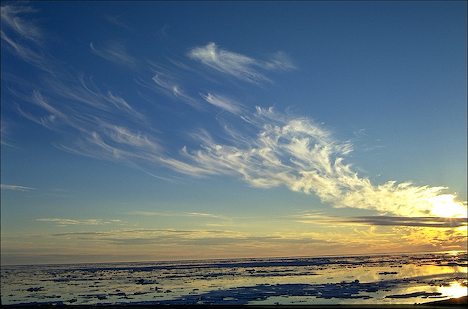 Cirrus Clouds Cirrus Clouds